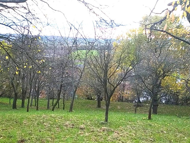 Prodej zahrady 3 492 m² - foto 4
