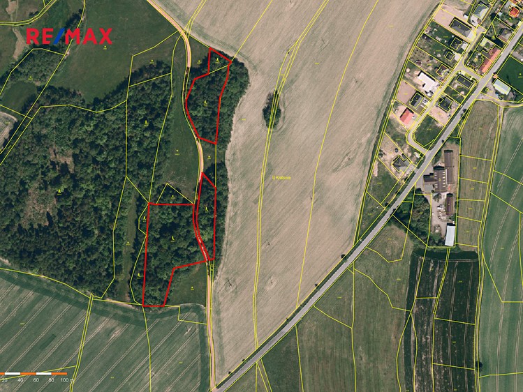 Prodej lesa 25 088 m² - foto 1