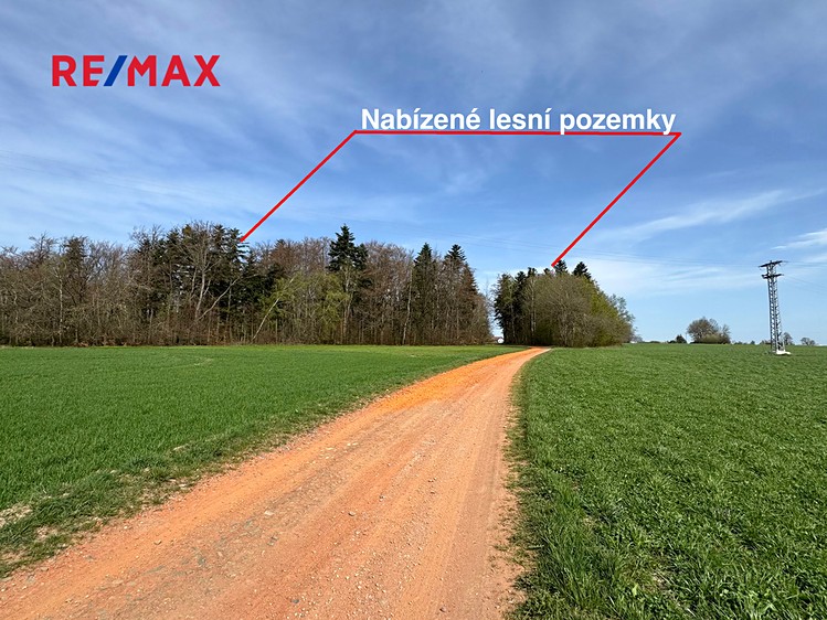 Prodej lesa 25 088 m² - foto 3