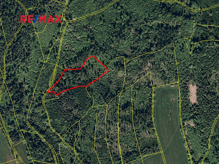 Prodej lesa 25 088 m² - foto 4