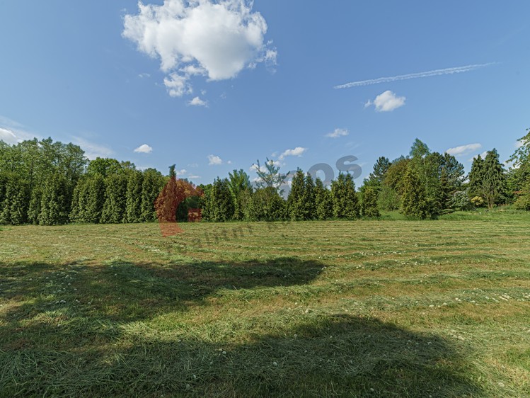 Prodej stavebního pozemku 2 921 m² - foto 5