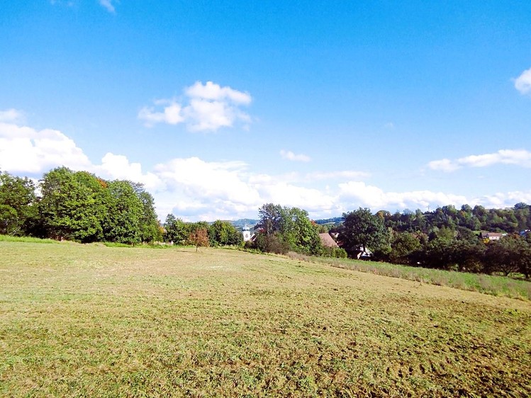 Prodej stavebního pozemku 1 000 m² - foto 1