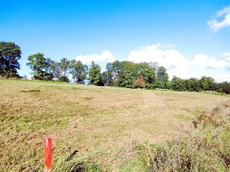 Prodej stavebního pozemku 1 000 m² - foto 4