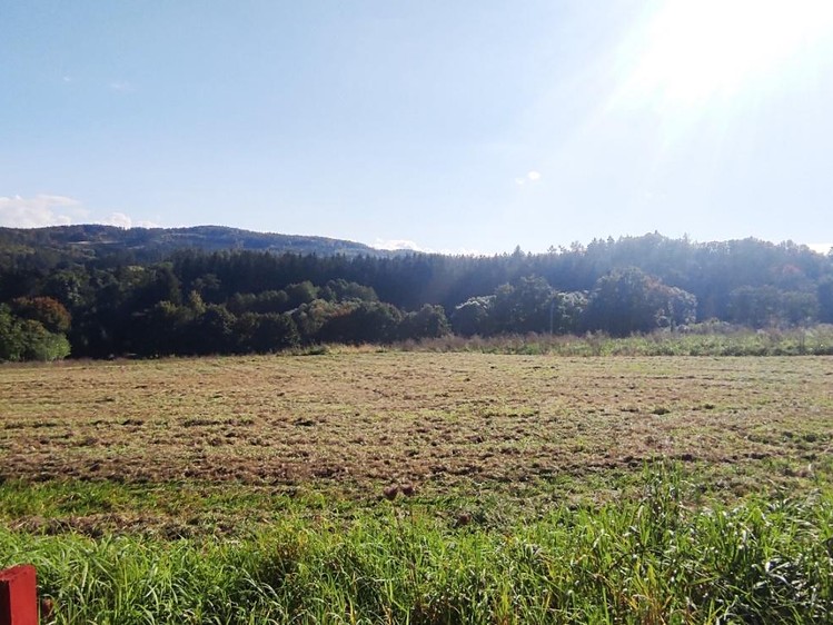 Prodej stavebního pozemku 1 000 m² - foto 5