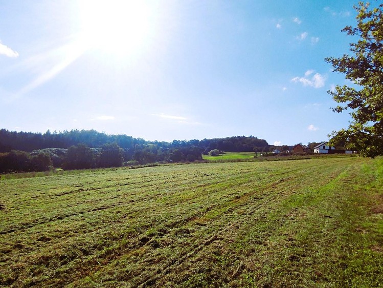 Prodej stavebního pozemku 1 000 m² - foto 7