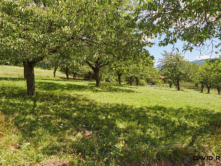 Prodej stavebního pozemku 2 226 m² - foto 4
