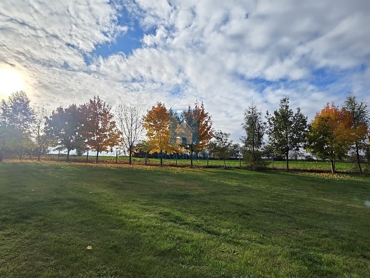 Prodej stavebního pozemku 6 040 m² - foto 3