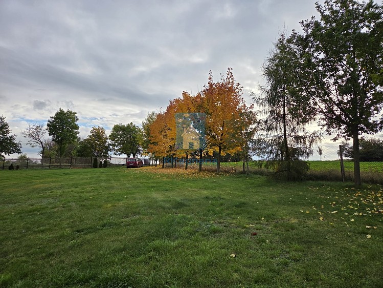 Prodej stavebního pozemku 6 040 m² - foto 6