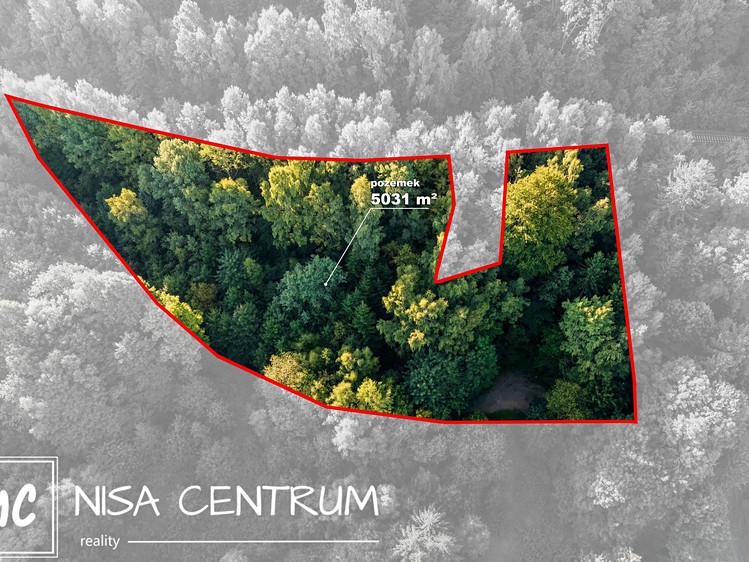 Prodej lesa 5 031 m² - foto 2
