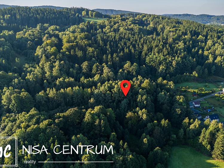 Prodej lesa 5 031 m² - foto 6