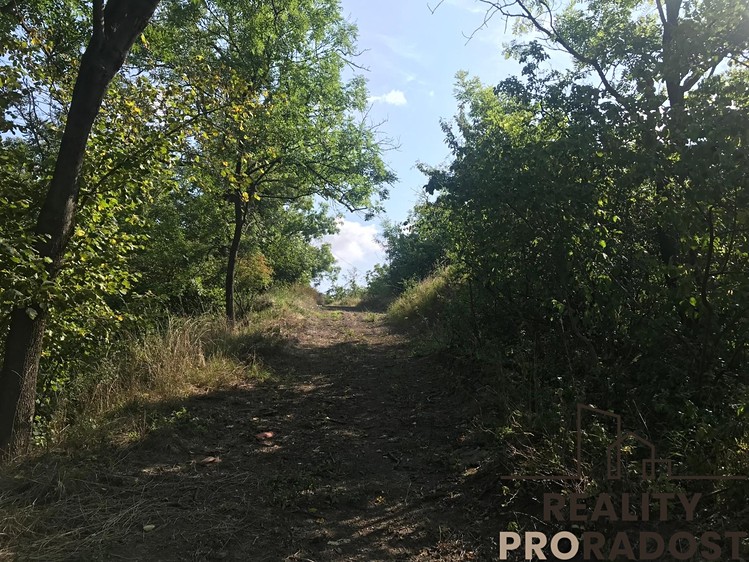 Prodej zahrady 2 052 m² - foto 2