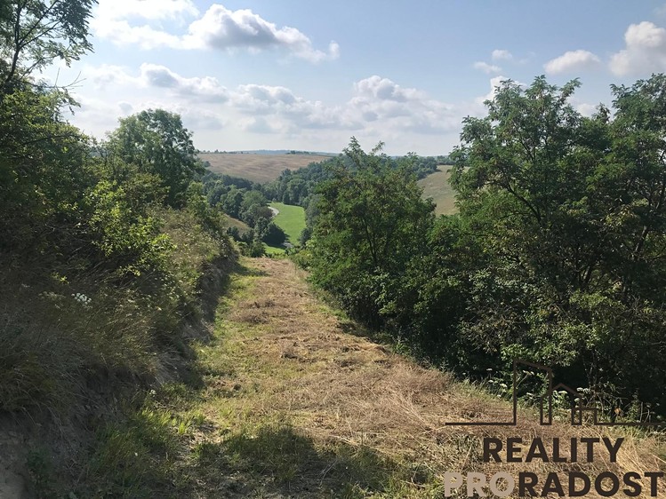 Prodej zahrady 2 052 m² - foto 4