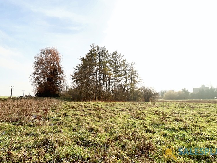 Prodej stavebního pozemku 14 748 m² - foto 8
