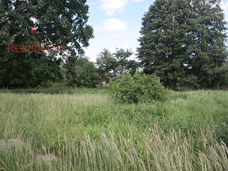 Pronájem pozemku 650 m² - foto 1