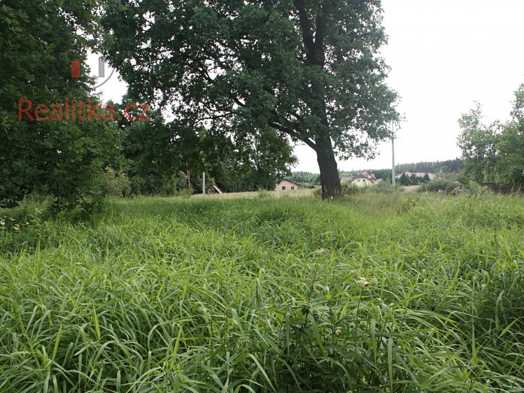 Pronájem pozemku 650 m² - foto 4
