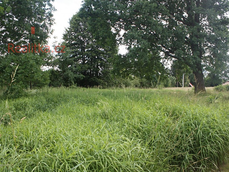 Pronájem pozemku 650 m² - foto 6