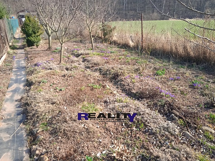 Pronájem  zahrady 367 m² - foto 3