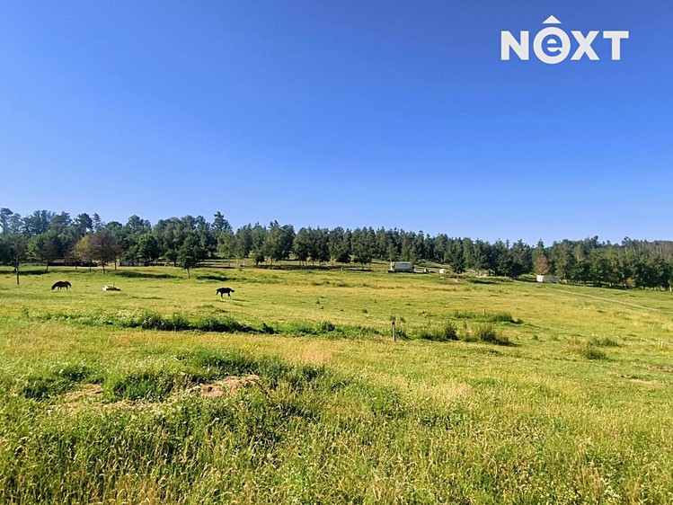 Pronájem louky 142 000 m² - foto 1