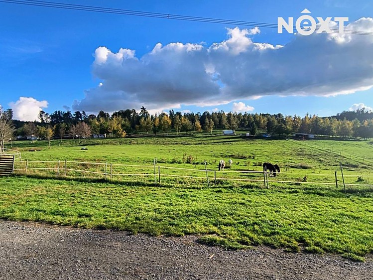 Pronájem louky 142 000 m² - foto 4