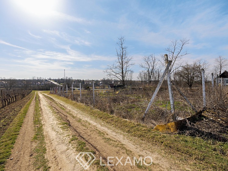 Pronájem zahrady 1 217 m² - foto 4