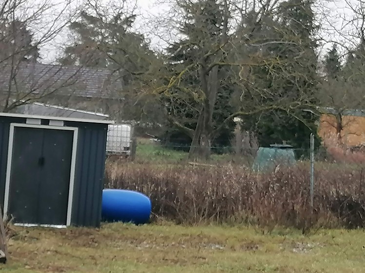 Pronájem zahrady 450 m² - foto 3