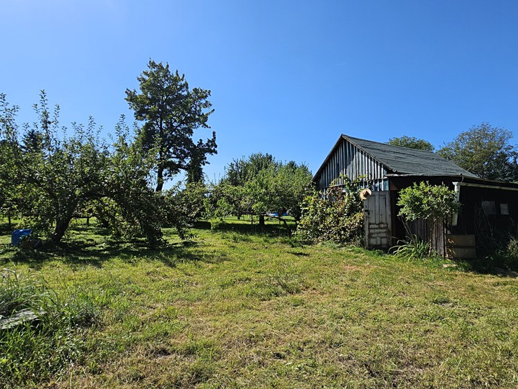 Pronájem zahrady 1 962 m² - foto 7