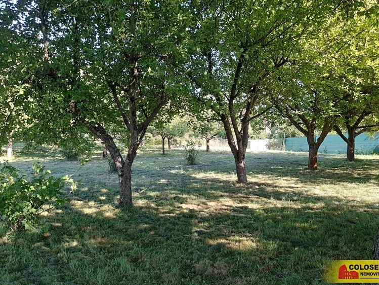 Pronájem  zahrady 1 504 m² - foto 3