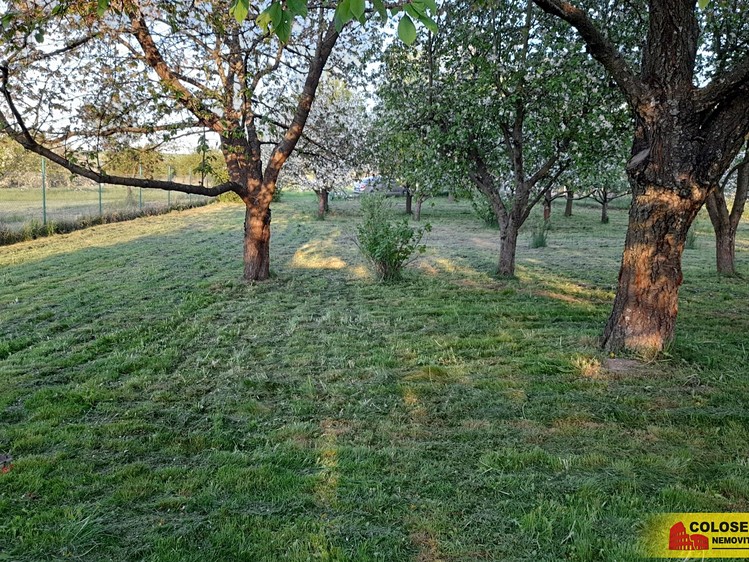 Pronájem  zahrady 1 504 m² - foto 4