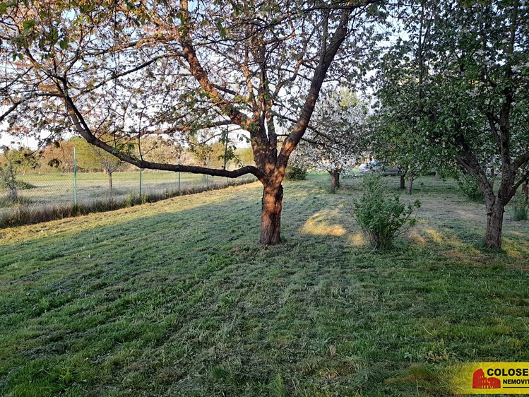 Pronájem  zahrady 1 504 m² - foto 5