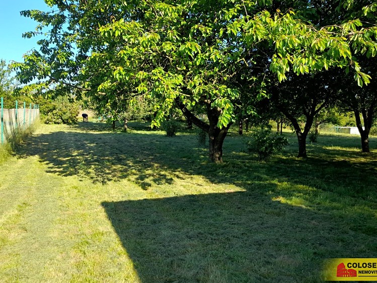 Pronájem  zahrady 1 504 m² - foto 7