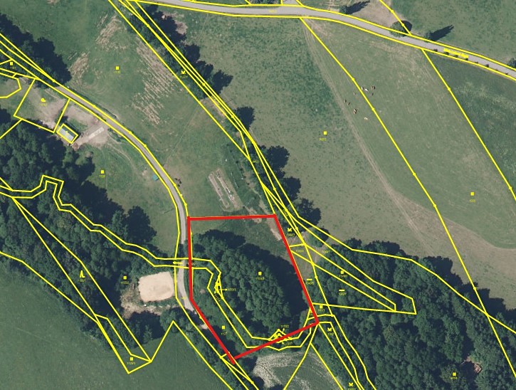 Pronájem louky 5 000 m² - foto 1