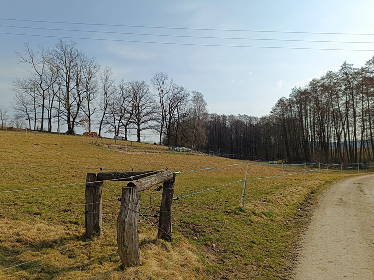 Pronájem louky 5 000 m² - foto 2