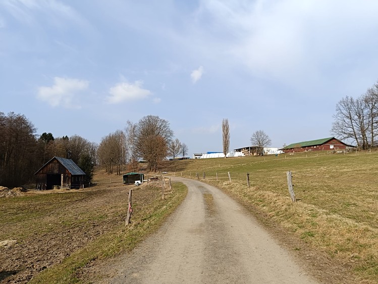 Pronájem louky 5 000 m² - foto 3