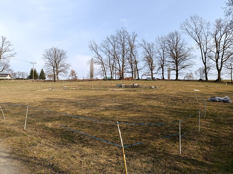Pronájem louky 5 000 m² - foto 4