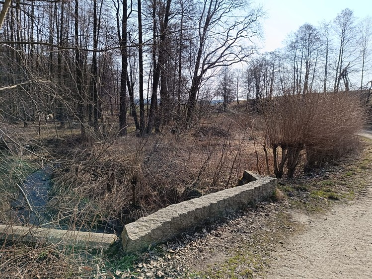 Pronájem louky 5 000 m² - foto 5