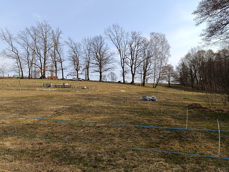 Pronájem louky 5 000 m² - foto 6
