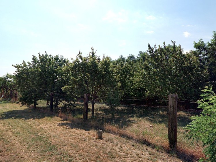 Pronájem zahrady 460 m² - foto 2