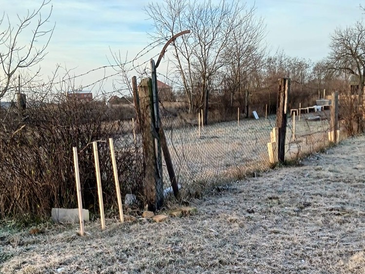 Pronájem zahrady 620 m² - foto 1