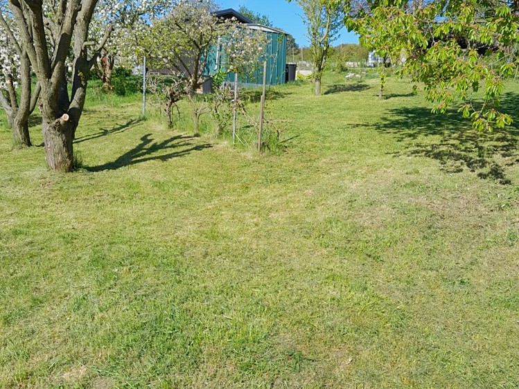 Pronájem zahrady 376 m² - foto 2