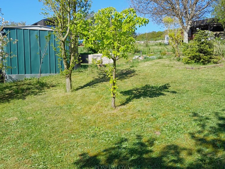 Pronájem zahrady 376 m² - foto 4