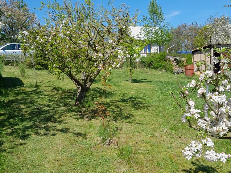 Pronájem zahrady 376 m² - foto 5