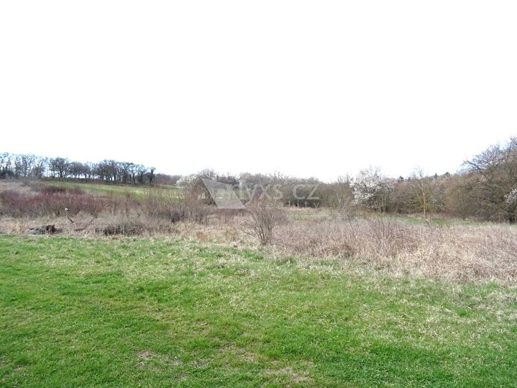 Pronájem louky 4 859 m² - foto 1