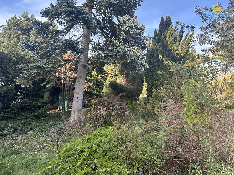 Pronájem zahrady 400 m² - foto 3