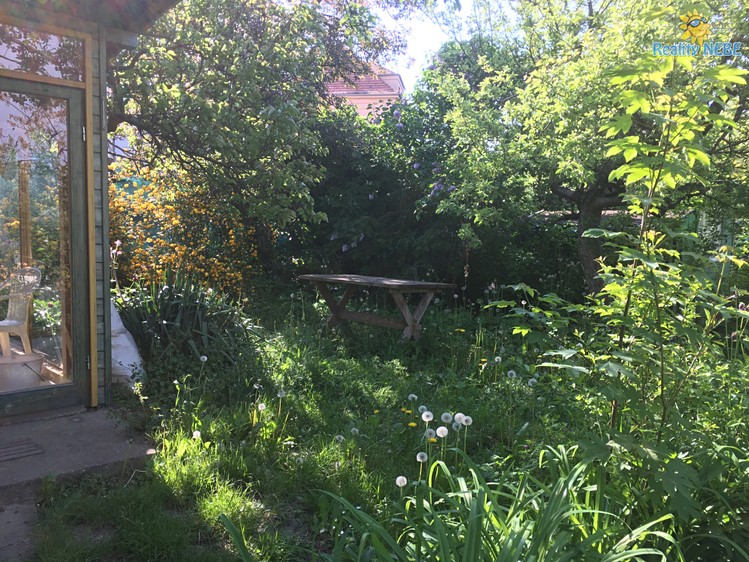 Pronájem zahrady 400 m² - foto 7