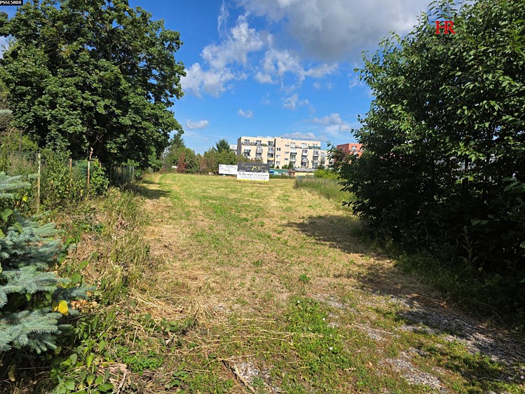 Pronájem  pozemku 4 078 m² - foto 5