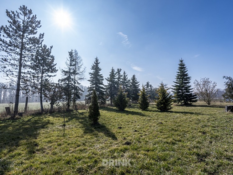 Pronájem komerčního pozemku 1 700 m² - foto 4