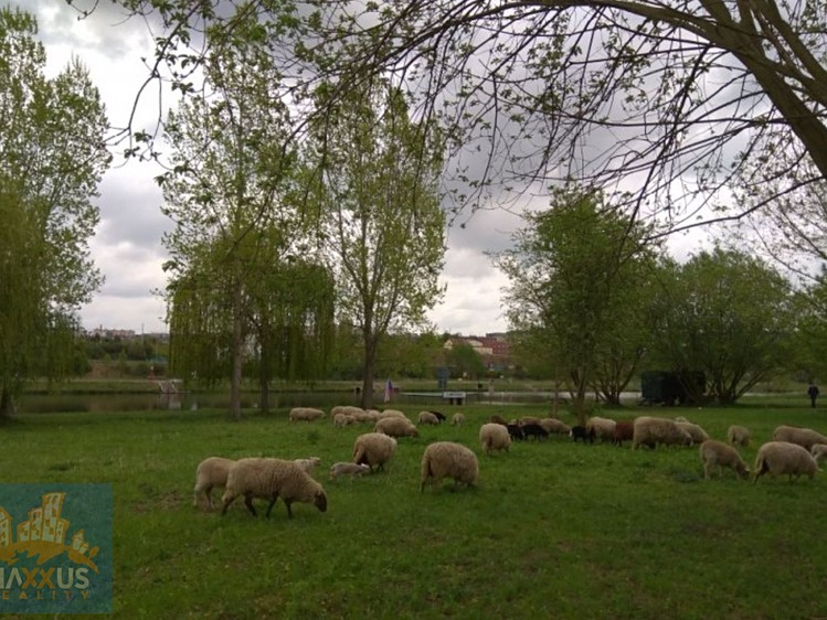 Pronájem komerčního pozemku 200 m² - foto 6
