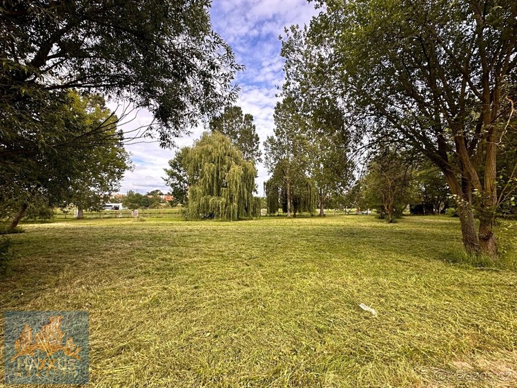 Pronájem komerčního pozemku 200 m² - foto 8
