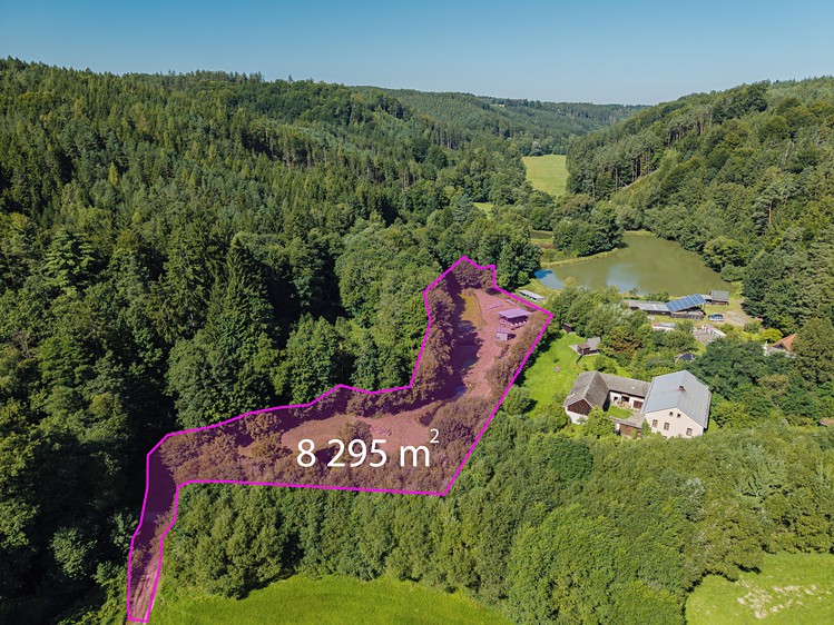 Pronájem rybníku (vodní plochy) 8 295 m² - foto 1
