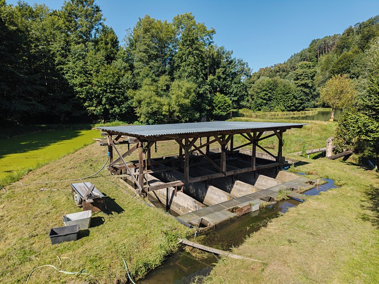 Pronájem rybníku (vodní plochy) 8 295 m² - foto 2